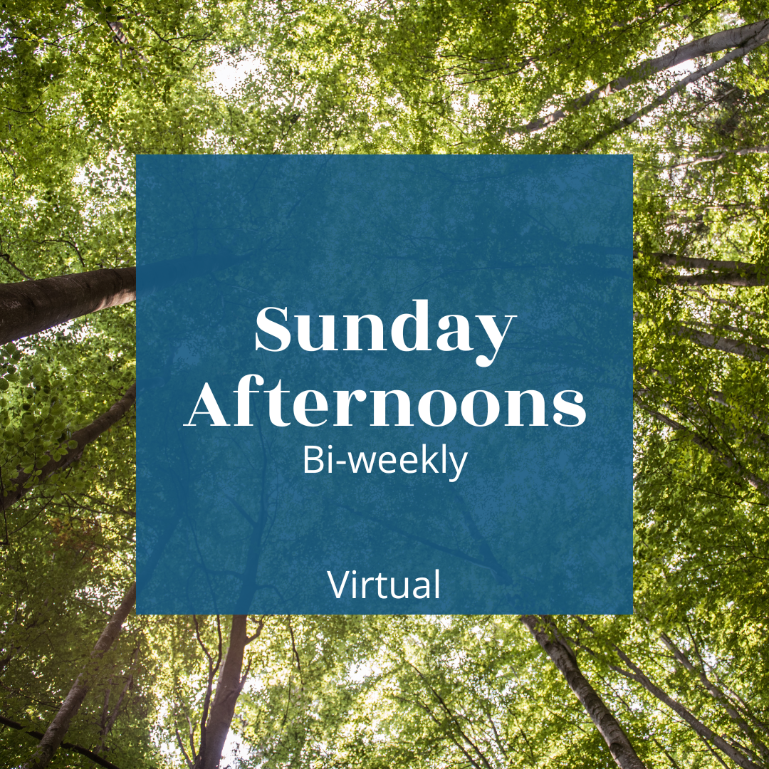 Sunday Afternoons Jane